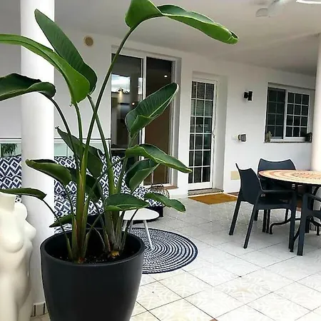 Pura Vida Strandnahes Ferienappartment In Bester Lage! Lägenhet Puerto de la Cruz (Tenerife)